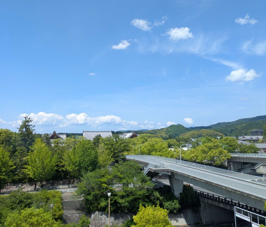 3階の休憩室からの風景