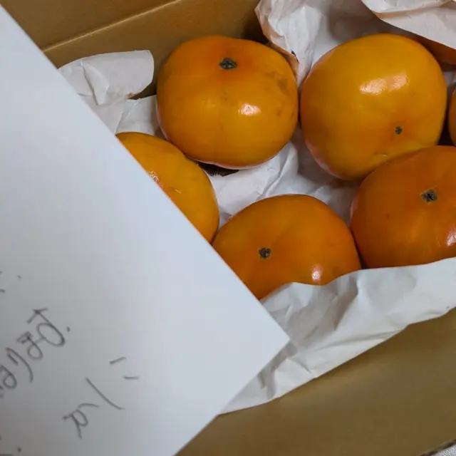 サプラーイズ✨
 
以前ご縁させていただいたおとーさんが植えた柿🌱⋆｡
今年は豊作だったとおすそ分け❤
 
 #届いた今日はたまたま誕生日 🎂
 #嬉しいお届け物⁡
⁡ #お手紙もいつも嬉しい
 #橿原のおかーさん
 #無農薬の柿
 #実りの秋
 #会えなくても繋がってると感じられるお庭
 #想いはつながる
 #おとーさんおかーさんありがたくいただきます