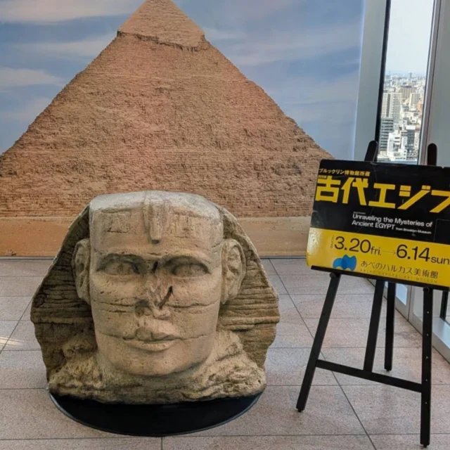 あべのハルカス美術館の古代エジプト展
⁡人が多くて心折れた、、、
⁡ ⁡
あべのまでは、⁡大好きな青の交響曲で♥️⁡
⁡ ⁡⁡
⁡老眼納棺師のプチ旅の詳細は、ブログにUPしてます。⁡⁡
⁡とはいえ読むほどの内容ではないようー😊
⁡ ⁡
⁡ #青の交響曲⁡
⁡ #アヌビス⁡
⁡ #古代エジプト展⁡
⁡ #あべのハルカス美術館